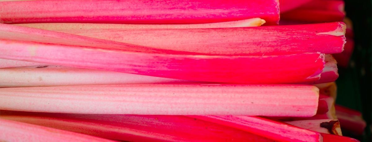 Wichterjam met rabarber